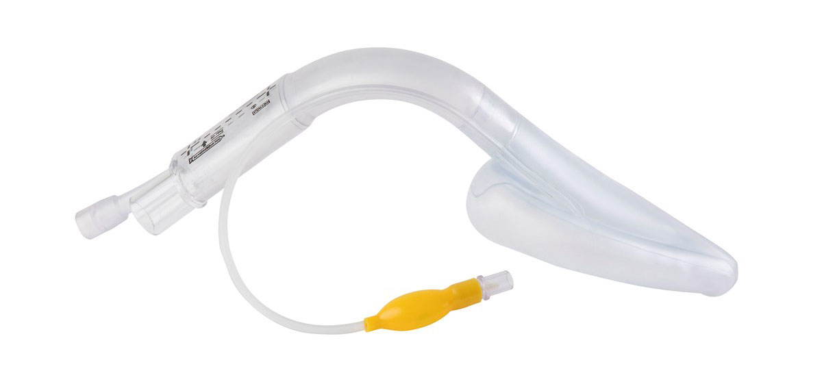 Laryngeal Mask Airway with Gastric Access